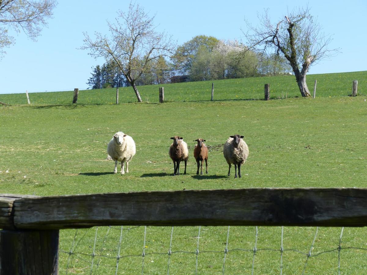 Xavers Ranch Meschede Zewnętrze zdjęcie