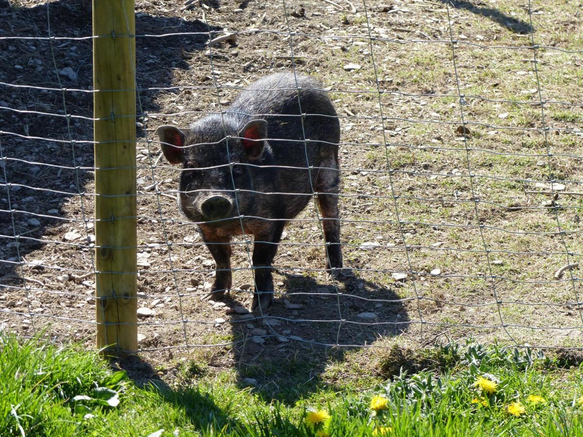 Xavers Ranch Meschede Zewnętrze zdjęcie